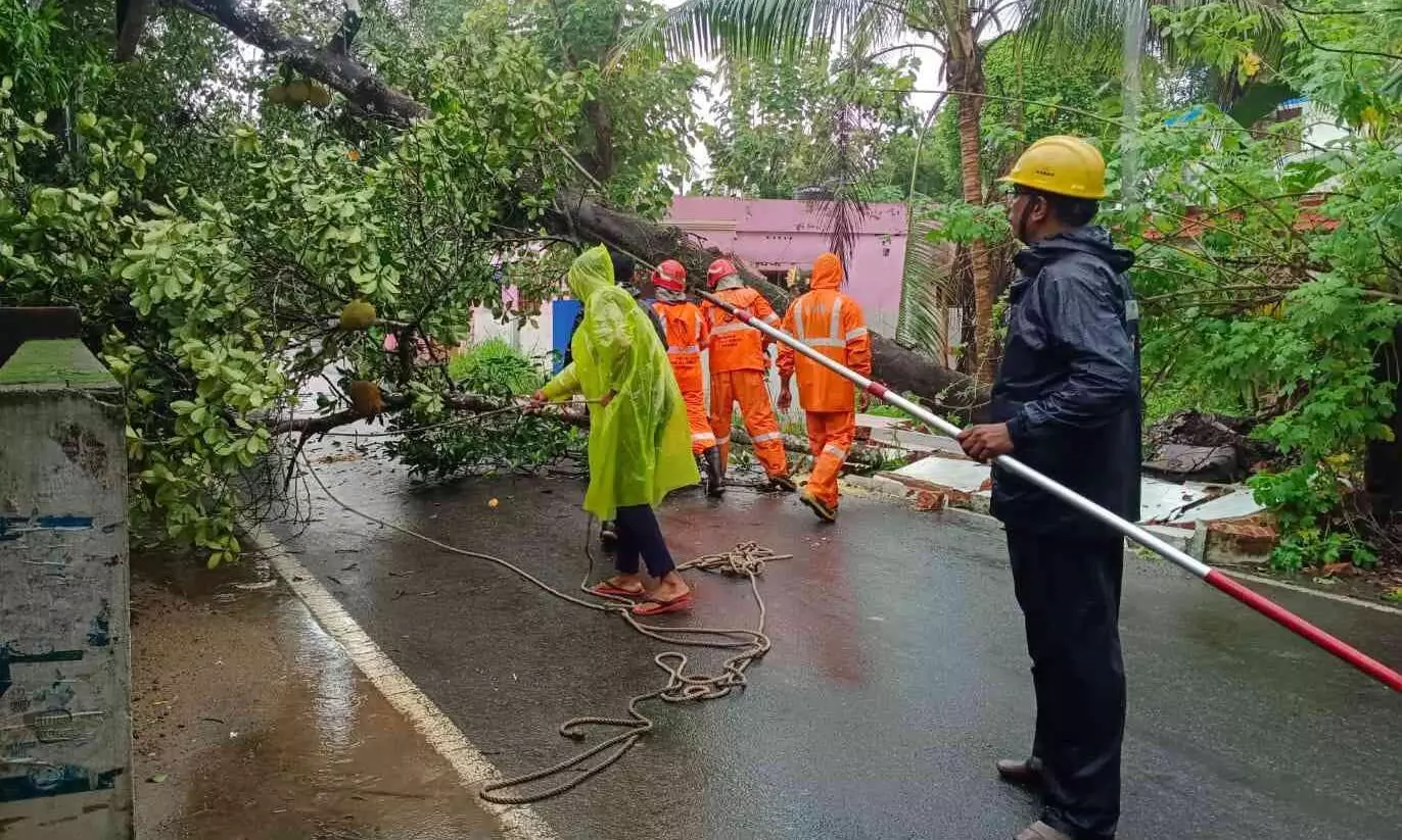 റോഡരികിലെ വൈദ്യുതി ലൈനിലേക്ക് മരം വീണ് ഗതാഗത തടസ്സം റോഡരികിലെ വൈദ്യുതി ലൈനിലേക്ക് മരം വീണ് ഗതാഗത തടസ്സം
