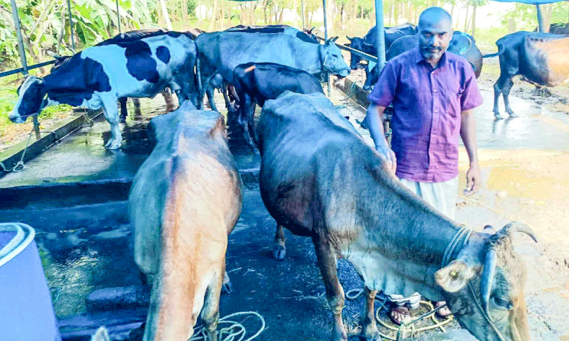 manikandan manikandan