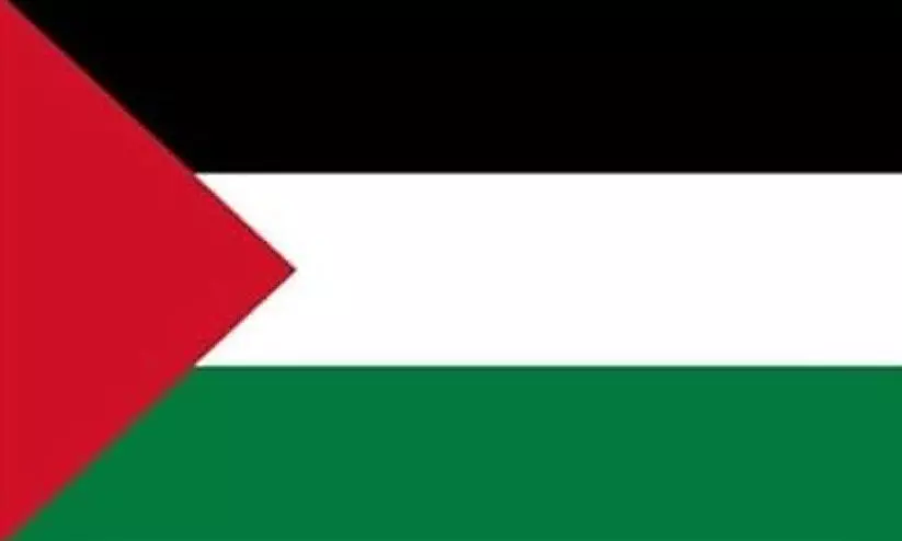 palestine flag palestine flag