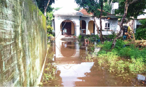 waterlogging waterlogging