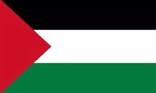 palestine flag