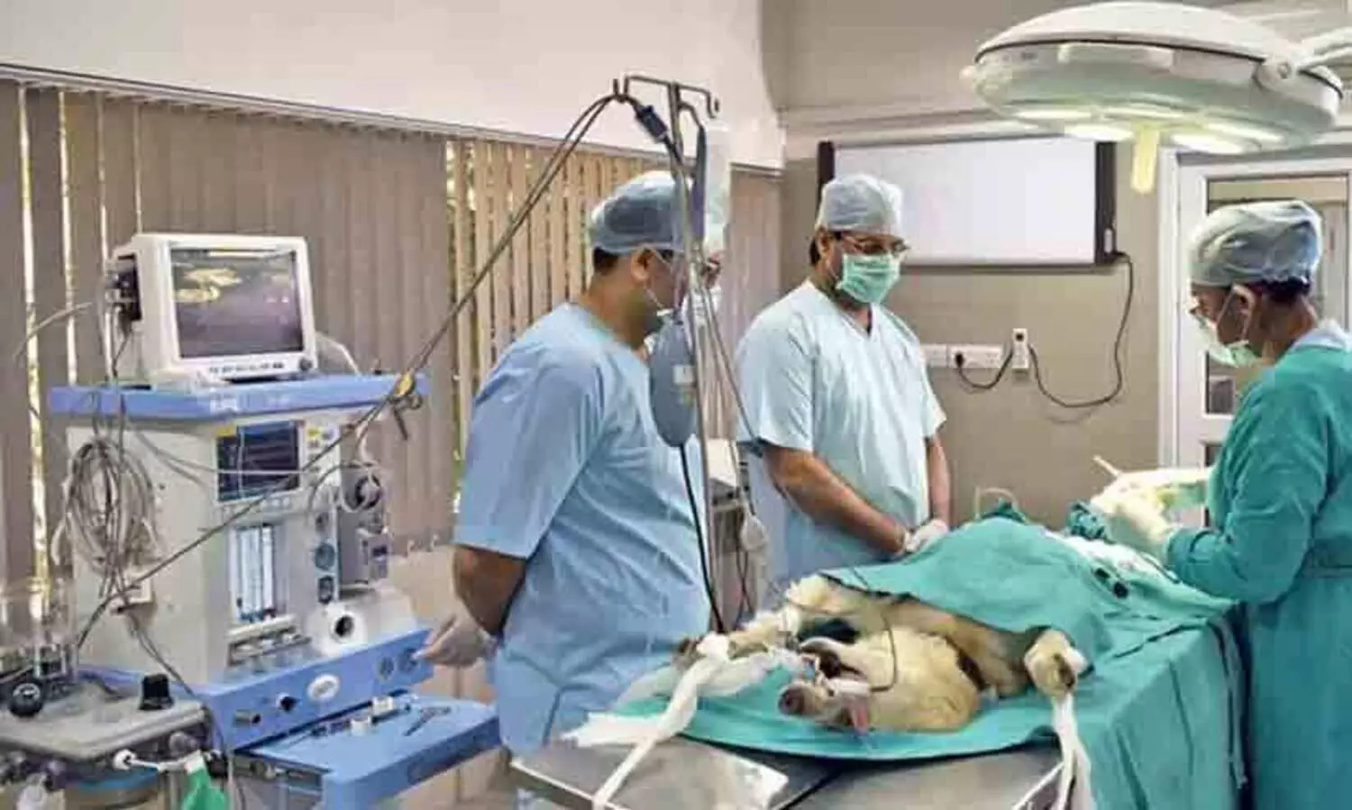 ഇന്ത്യയിൽ ആദ്യമായി നായക്ക് നോൺ-ഇൻവേസീവ് ഹൃദയ ശസ്ത്രക്രിയ നടത്തി