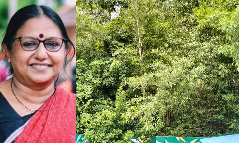 സംസ്ഥാനത്തെ ആദ്യ പച്ചത്തുരുത്തിന് അഞ്ചു വയസ് സംസ്ഥാനത്തെ ആദ്യ പച്ചത്തുരുത്തിന് അഞ്ചു വയസ്