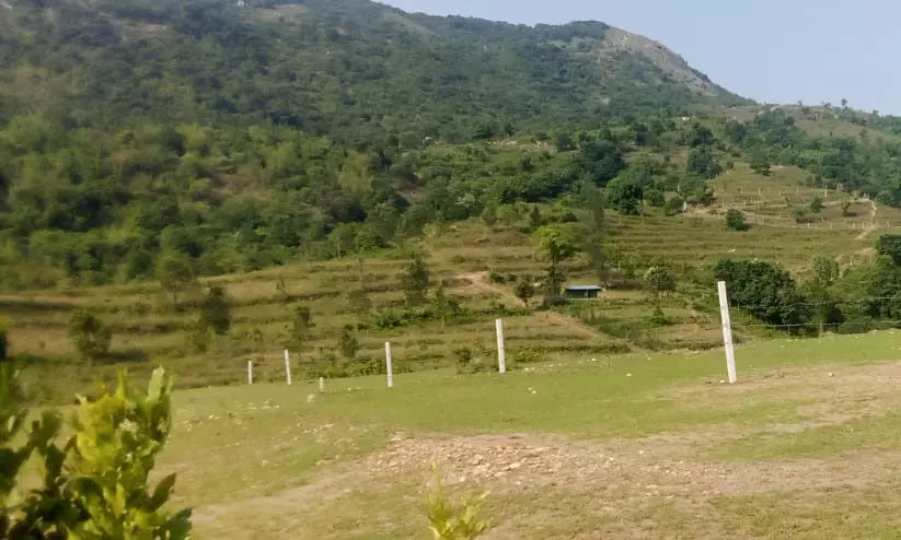 ടി.എൽ.എ കേസ്: ഉത്തരവാകുന്നതിനുമുമ്പ് ആദിവാസികളെ കുടിയിറക്കാൻ ഭീഷണിയെന്ന് പരാതി