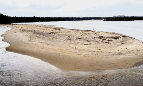 Kadalundikadav Estuary,