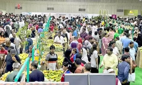 Indian Mango Fest Indian Mango Fest