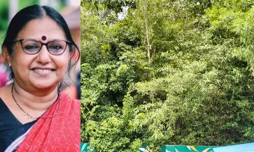 സംസ്ഥാനത്തെ ആദ്യ പച്ചത്തുരുത്തിന് അഞ്ചു വയസ്