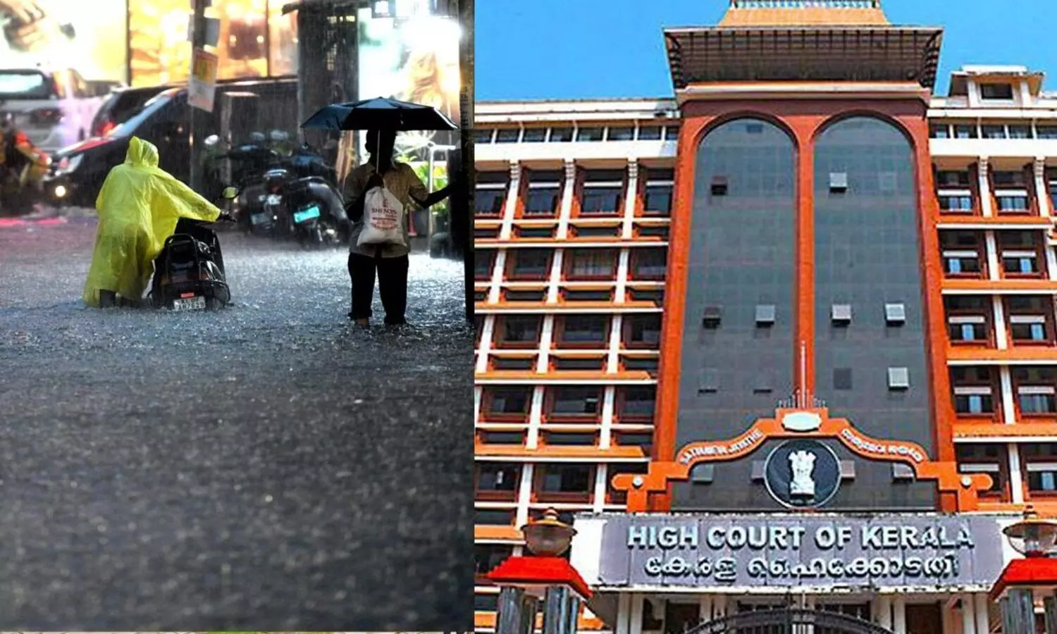 പറഞ്ഞു മടുത്തു, ഇനിയും തൊടു ന്യായം പറഞ്ഞിരിക്കരുത്; കൊച്ചിയിലെ കാനകളുടെ ശുചീകരണത്തിൽ രൂക്ഷ വിമർശനവുമായി ഹൈകോടതി