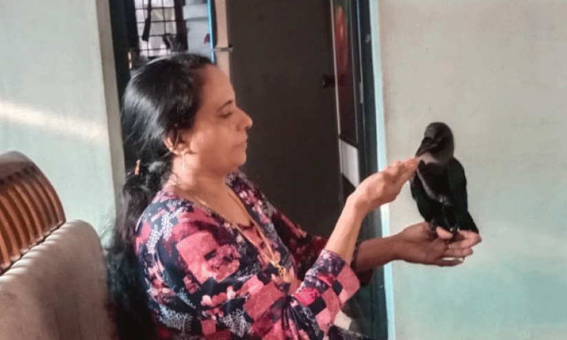 ജെ​റീ​ന