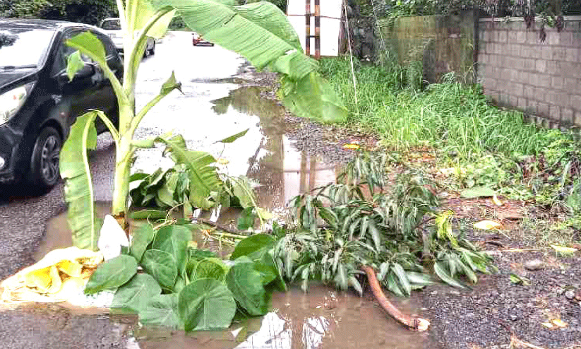 Aluva-Munnar Road, l