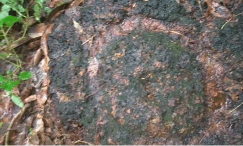 ചെ​ങ്ക​ല്ല​റ