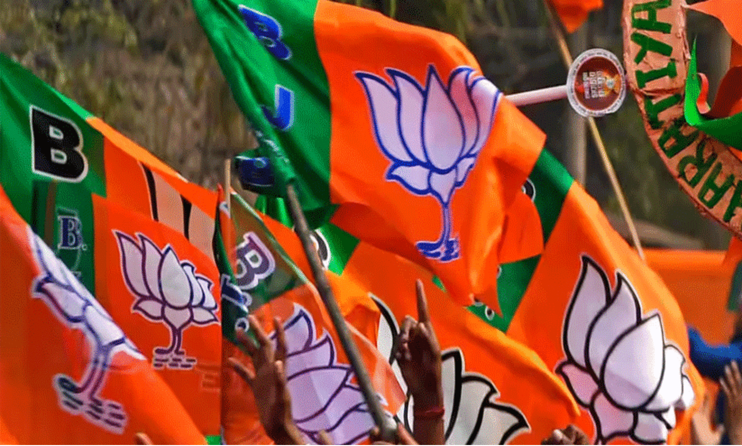 BJP Flag