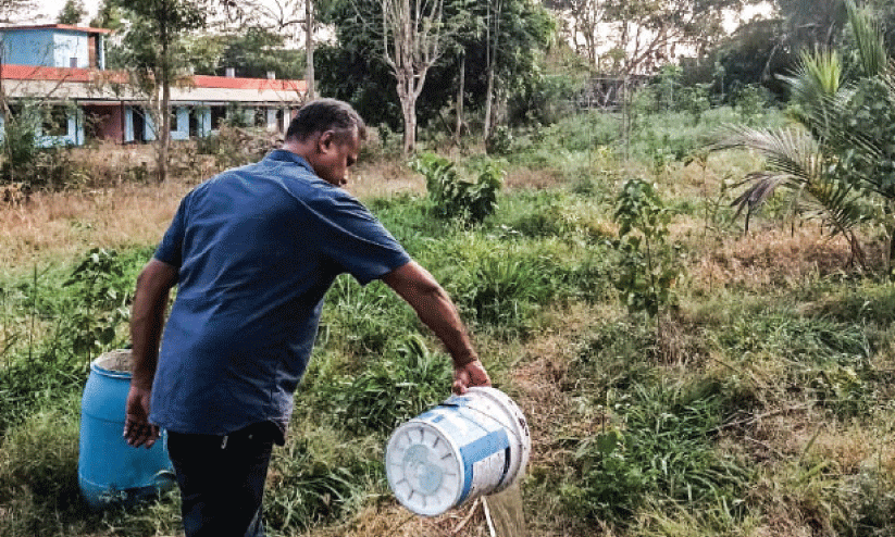 ഡോ. പത്മനാഭൻ ഡോ. പത്മനാഭൻ