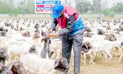 Qatar Charity Volunteer Team