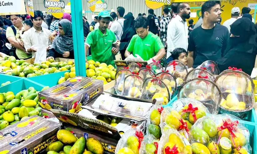 Mango Fest Mango Fest