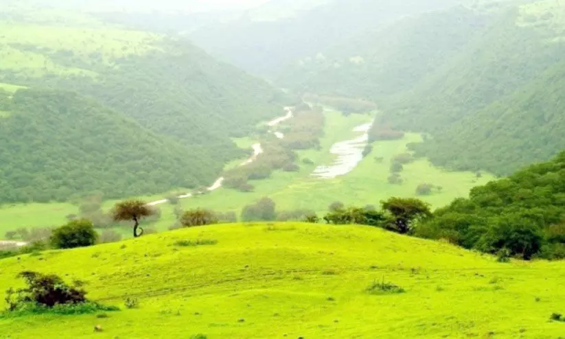 കാലാവസ്ഥ അനുകൂലം: സഞ്ചാരികളെ മാടിവിളിച്ച് സലാല കാലാവസ്ഥ അനുകൂലം: സഞ്ചാരികളെ മാടിവിളിച്ച് സലാല