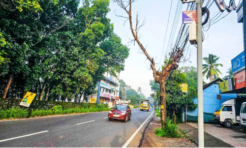 യാത്രക്കാര്‍ക്ക് ഭീഷണിയായി റോഡരികിലെ മരം