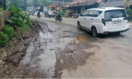 Nedumangad-Tenkasi Road