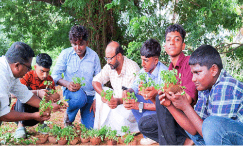ഒ​രു തൈ ​ന​ടാം ന​ല്ല നാ​ളേ​ക്ക് വേ​ണ്ടി...