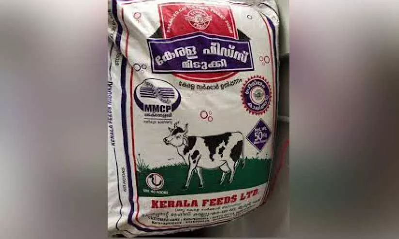 Kerala Feeds Kerala Feeds