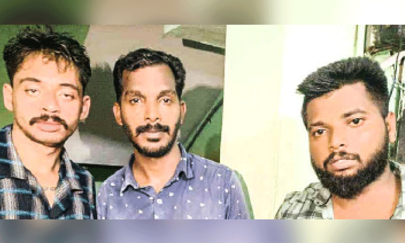 ഡാൽമിൻ, അമൽ, ബിനു ഡാൽമിൻ, അമൽ, ബിനു