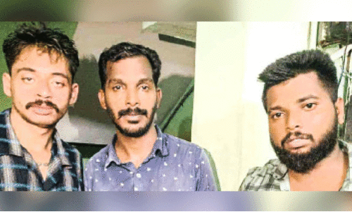 ഡാ​ൽ​മി​ൻ, അ​മ​ൽ, ബി​നു