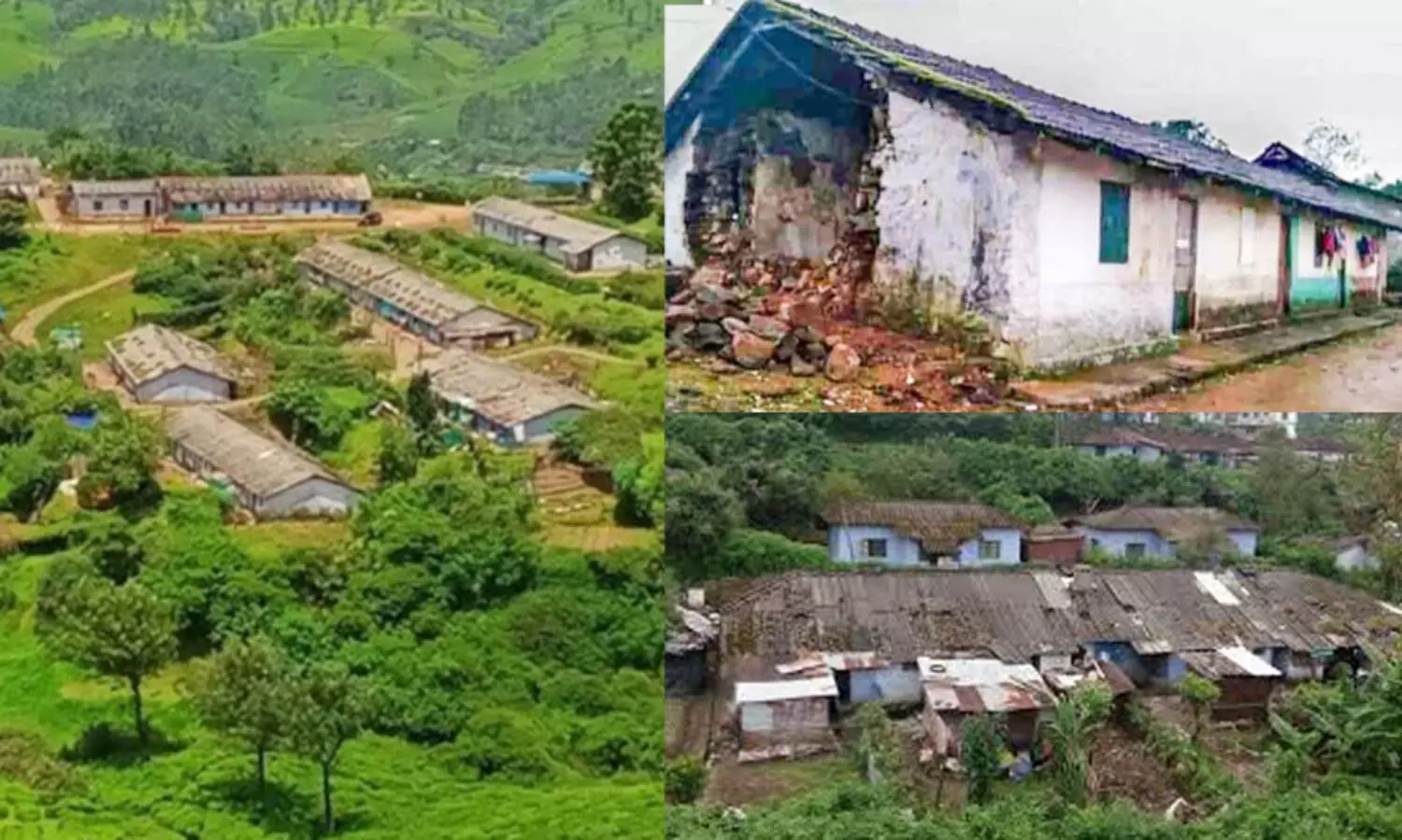 തോട്ടങ്ങളിലെ പരിശോധന തുടരുന്നു; 75 ഇടങ്ങളിലായി 224 നിയമ ലംഘനങ്ങൾ