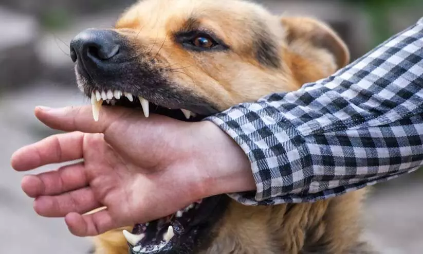 representatives representatives