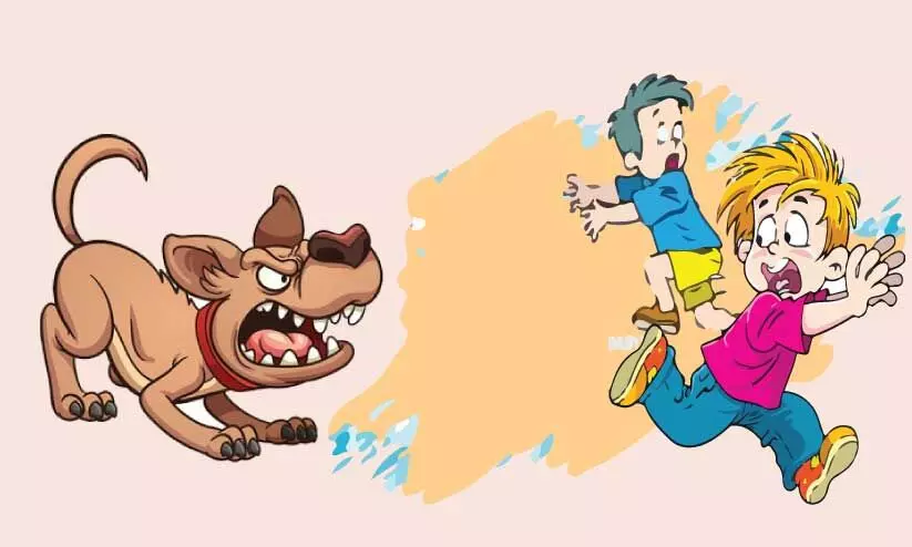 പ്രതിരോധ കുത്തിവെപ്പിന്‍റെ കണക്കില്ല;പേ​വി​ഷ​ബാ​ധ ഭീ​തി​യി​ൽ കോ​ട്ടാ​ങ്ങ​ൽ