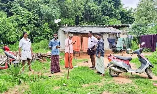 wild animal attack wild animal attack