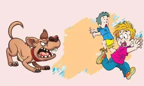 പ്രതിരോധ കുത്തിവെപ്പിന്‍റെ കണക്കില്ല;പേ​വി​ഷ​ബാ​ധ ഭീ​തി​യി​ൽ കോ​ട്ടാ​ങ്ങ​ൽ