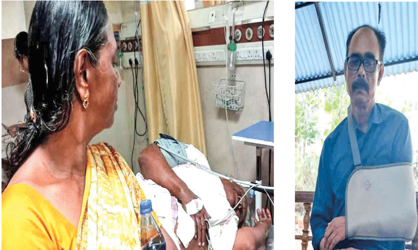 വ​ള്ളി​ക്കു​ന്ന് ക​രു​മ​ര​ക്കാ​ട് കു​റു​ക്ക​ന്റെ​യും തെ​രു​വു​നാ​യു​ടെ​യും ആ​ക്ര​മ​ണം; നാ​ല് പേ​ർ​ക്ക് പ​രിക്ക്