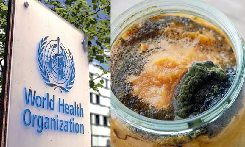 മലിനമായ ഭക്ഷണം കഴിച്ച് ദിവസവും രോഗികളാകുന്നത് 1.6 ദശലക്ഷം പേർ! മലിനമായ ഭക്ഷണം കഴിച്ച് ദിവസവും രോഗികളാകുന്നത് 1.6 ദശലക്ഷം പേർ!