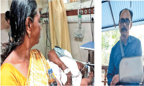 വ​ള്ളി​ക്കു​ന്ന് ക​രു​മ​ര​ക്കാ​ട് കു​റു​ക്ക​ന്റെ​യും തെ​രു​വു​നാ​യു​ടെ​യും ആ​ക്ര​മ​ണം; നാ​ല് പേ​ർ​ക്ക് പ​രിക്ക്