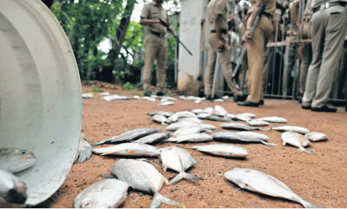 മത്സ്യക്കുരുതി; നഷ്ടപരിഹാരം മരട് മേഖലയെ ഒഴിവാക്കിയതിൽ പ്രതിഷേധം