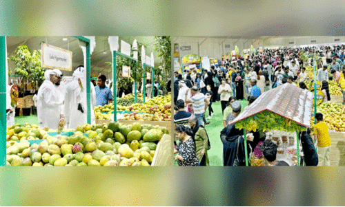 Indian Mango Fest Indian Mango Fest