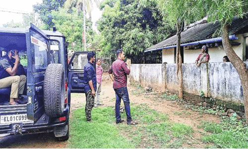 നാടുവിടാതെ വന്യജീവികൾ നാടുവിടാതെ വന്യജീവികൾ