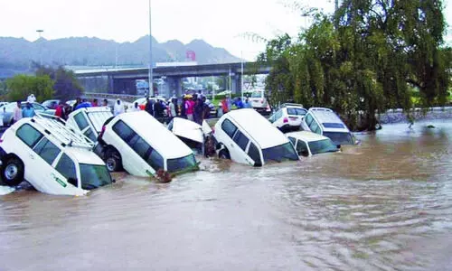 ‘ഗോ​നു’​വി​ന് 17 ആ​ണ്ട്; ന​ടു​ക്കു​ന്ന ഓ​ർ​മ​ക​ളു​മാ​യി ഒ​മാ​ൻ
