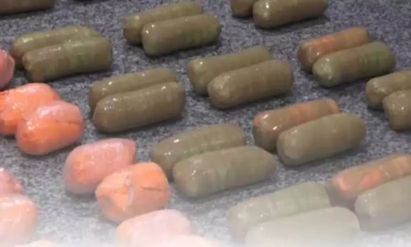 Drugs Seized Drugs Seized