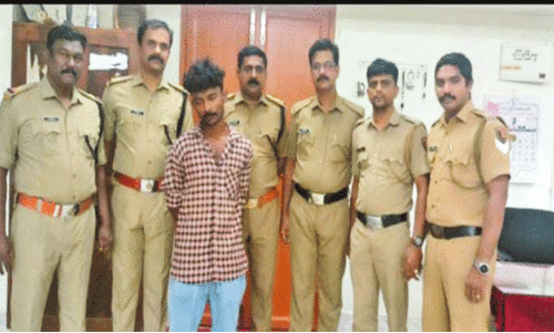 Ganja case Ganja case