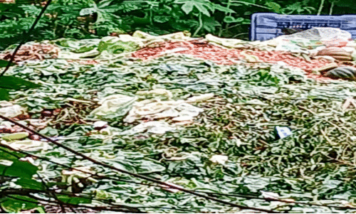 Thodupuzha, Thodupuzha,