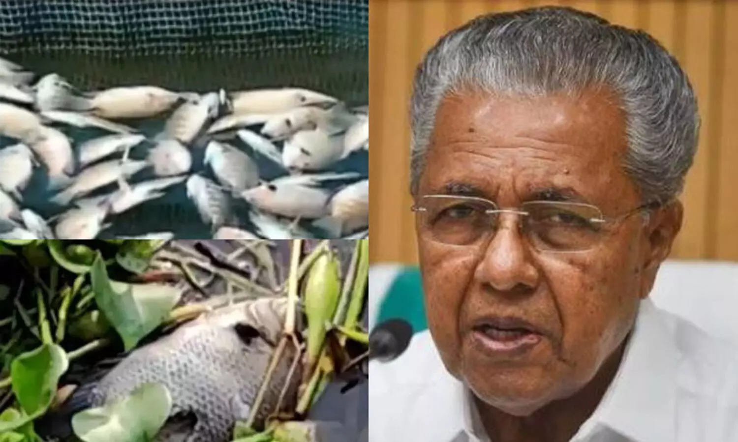 പെരിയാറിൽ മത്സ്യങ്ങൾ ചത്തുപൊങ്ങിയ സംഭവം: രാസമാലിന്യം ഒഴുക്കിവിട്ടതായി അന്വേഷണത്തിൽ കണ്ടെത്തിയിട്ടില്ലെന്ന് മുഖ്യമന്ത്രി