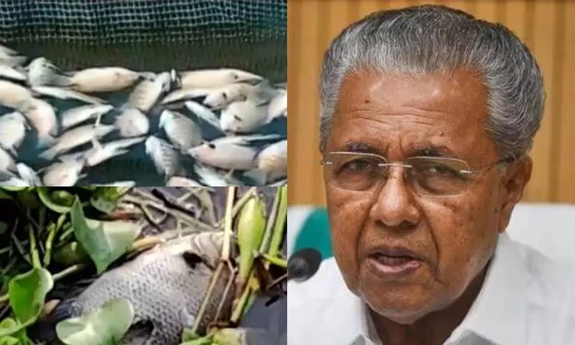 പെരിയാറിൽ മത്സ്യങ്ങൾ ചത്തുപൊങ്ങിയ സംഭവം: രാസമാലിന്യം ഒഴുക്കിവിട്ടതായി അന്വേഷണത്തിൽ കണ്ടെത്തിയിട്ടില്ലെന്ന് മുഖ്യമന്ത്രി പെരിയാറിൽ മത്സ്യങ്ങൾ ചത്തുപൊങ്ങിയ സംഭവം: രാസമാലിന്യം ഒഴുക്കിവിട്ടതായി അന്വേഷണത്തിൽ കണ്ടെത്തിയിട്ടില്ലെന്ന് മുഖ്യമന്ത്രി