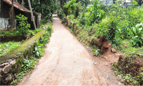 Traffic jams, Traffic jams,