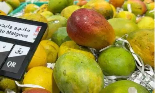 Indian Mango Fest Indian Mango Fest