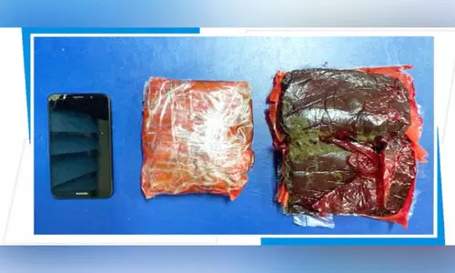 രാ​ജ്യ​ത്തേ​ക്ക് ക​ട​ത്തി​യ 1200 കി​ലോ​ഗ്രാം ഹാ​ഷി​ഷ് പി​ടി​കൂ​ടി