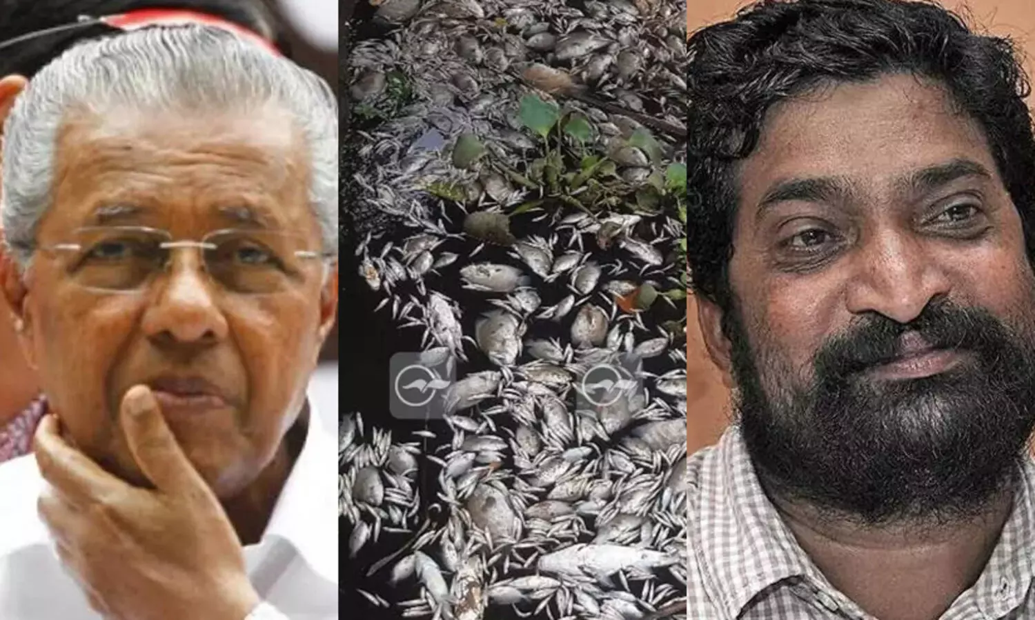 മത്സ്യക്കുരുതി: മുഖ്യമന്ത്രിയെ പരിസ്ഥിതി വകുപ്പിന്റെ ഉത്തരവാദിത്വത്തിൽ നിന്നും മാറ്റണമെന്ന് മത്സ്യതൊഴിലാളി ഐക്യവേദി