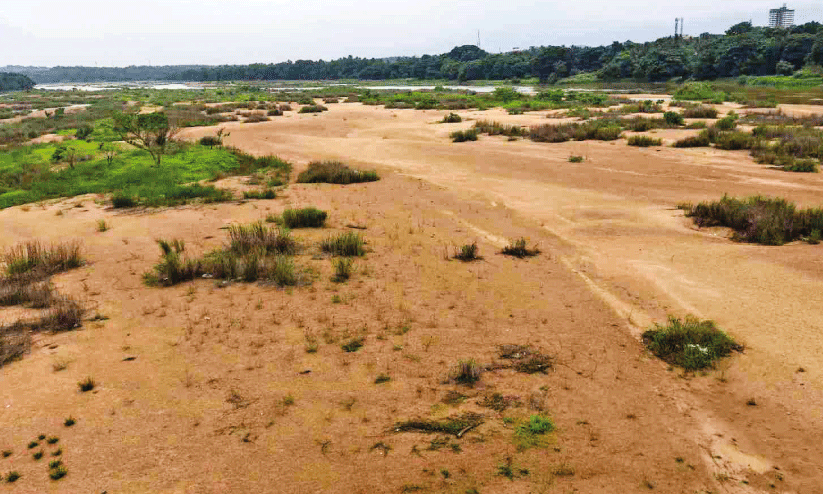 Bharatapuzha Revival Project