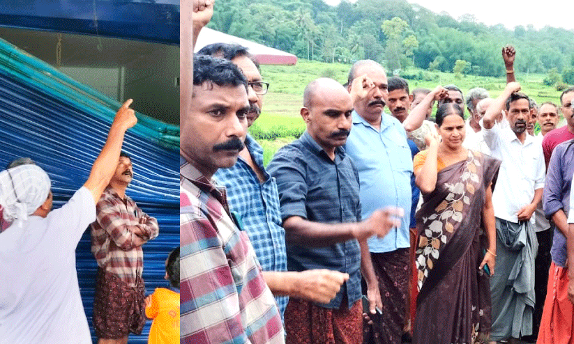 wild elephant attack