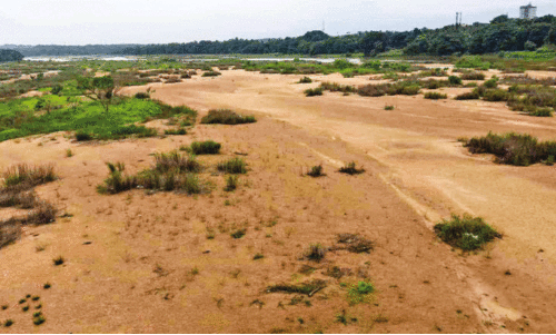 Bharatapuzha Revival Project Bharatapuzha Revival Project